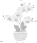 Home affaire Kunstplant Orchidee Kunstorchidee in een pot (1 stuk) - Thumbnail 6