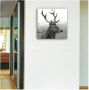 Home affaire Wandklok Edelhert vierkant van acrylglas dierenmotief hert geruisloos (1-delig) - Thumbnail 2