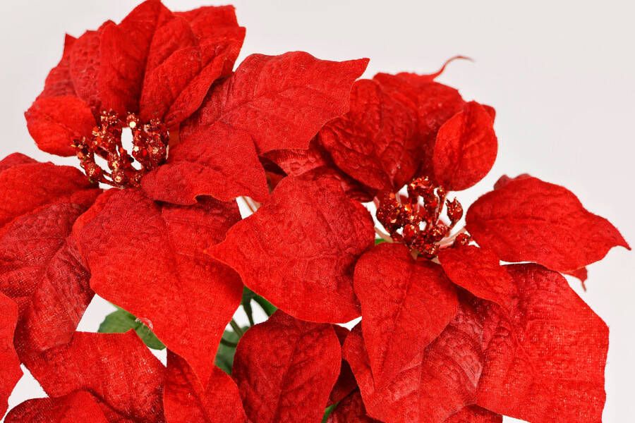 I.GE.A. Boeket kunstbloemen Boeket Poinsettia kerstster kerstdecoratie kunstbloem kerstbloem (1 stuk)