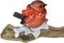 I.GE.A. Decoratief figuur Vogels op boomstam Dierfiguur op tak standbeeld herfstdecoratie winterdecoratie kerstdecoratie decor (1 stuk) - Thumbnail 2