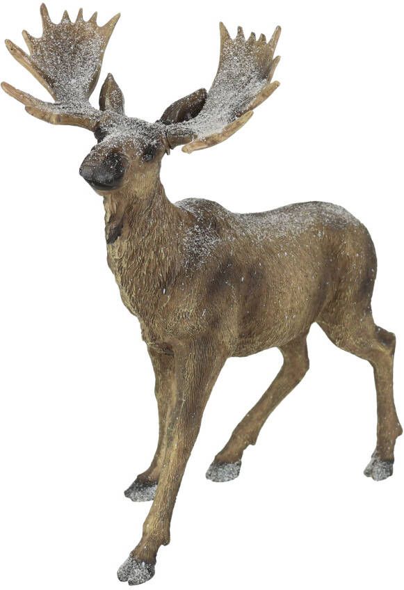 I.GE.A. Dierfiguur Elk figuur besneeuwd Hert decoratieve figuren sculptuur kerstfiguur kerstdecoratie bosdier (1 stuk)