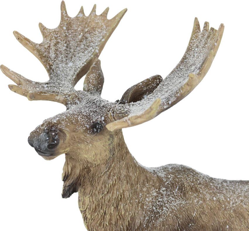 I.GE.A. Dierfiguur Elk figuur besneeuwd Hert decoratieve figuren sculptuur kerstfiguur kerstdecoratie bosdier (1 stuk)