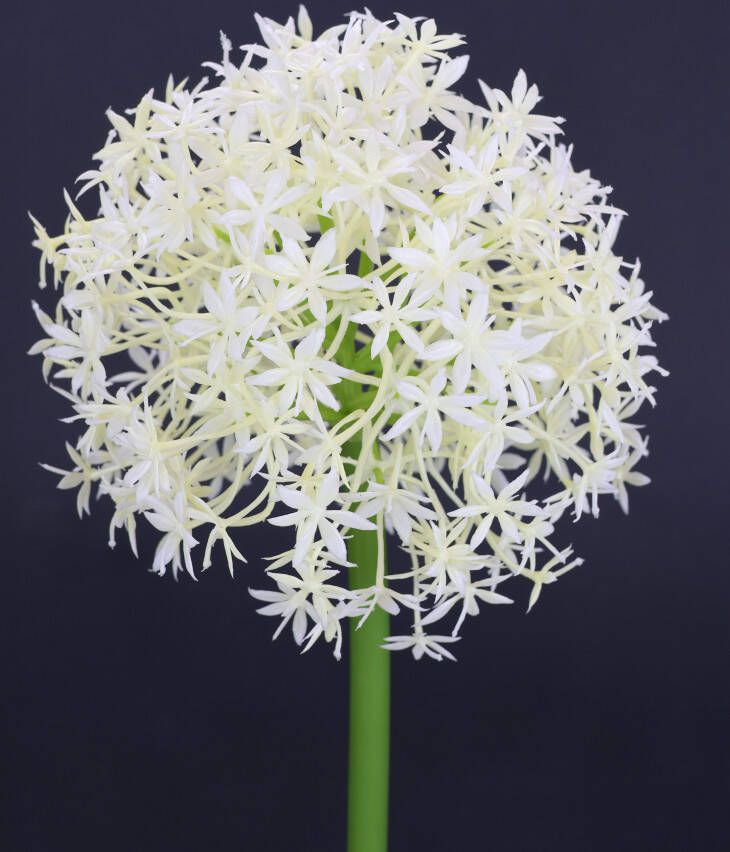 I.GE.A. Kunstbloem Allium sierlook (2 stuks)