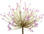 I.GE.A. Kunstbloem Allium sierlook (2 stuks) - Thumbnail 2