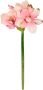 I.GE.A. Kunstbloem Amaryllis (3 stuks) - Thumbnail 2