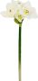 I.GE.A. Kunstbloem Amaryllis Kunst-stielbloem 3-delige set (3 stuks) - Thumbnail 3