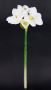 I.GE.A. Kunstbloem Amaryllis Kunst-stielbloem 3-delige set (3 stuks) - Thumbnail 4
