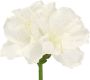 I.GE.A. Kunstbloem Amaryllis 2-delige set 60cm bloemen tak decorat tak kerstdecoratie kerstbloem decor (2 stuks) - Thumbnail 2