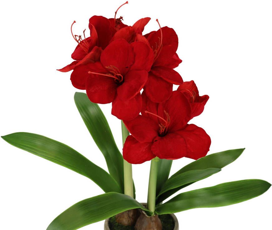 I.GE.A. Kunstbloem Amaryllis in pot 50cm bloem kerstbloem kerstdecoratie winterbloem floristik (1 stuk)