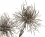 I.GE.A. Kunstbloem Distel (5 stuks) - Thumbnail 3