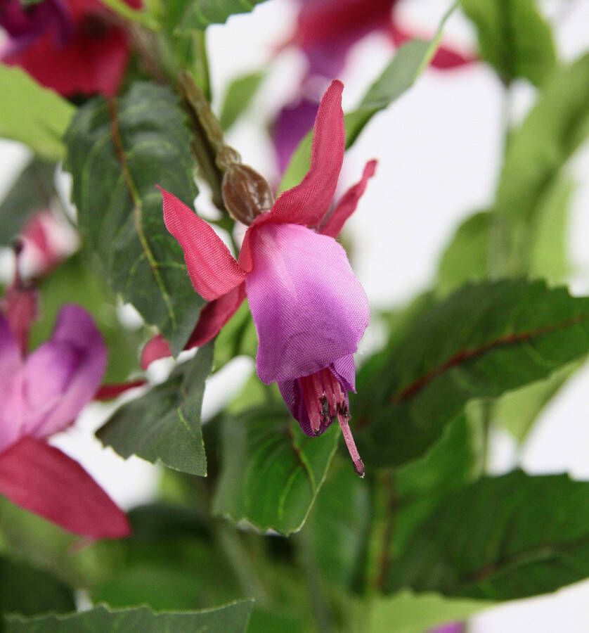 I.GE.A. Kunstbloem Fuchsia s