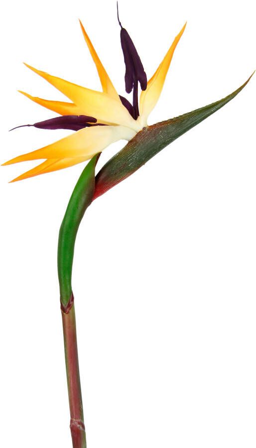 I.GE.A. Kunstbloem Künstliche Blume Strelitzie Paradiesvogelblume Exotischer Dekozweig (3 stuks)