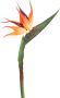 I.GE.A. Kunstbloem Künstliche Blume Strelitzie Paradiesvogelblume Exotischer Dekozweig (3 stuks) - Thumbnail 2