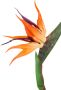 I.GE.A. Kunstbloem Künstliche Blume Strelitzie Paradiesvogelblume Exotischer Dekozweig (3 stuks) - Thumbnail 3