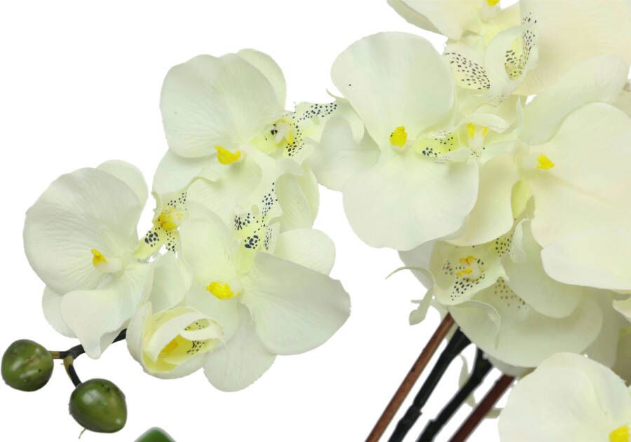 I.GE.A. Kunstbloem Künstliche Orchidee in Schale Phalaenopsis Kunstblume Blume (1 stuk)