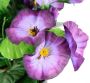 I.GE.A. Kunstbloem Petunia's - Thumbnail 2