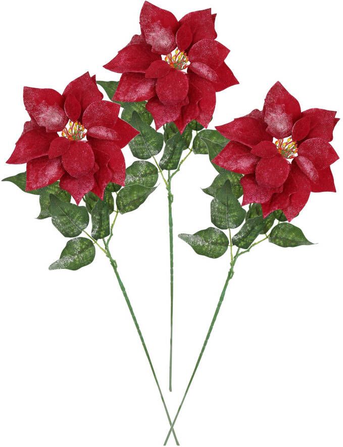 I.GE.A. Kunstbloem Poinsettia kerstster 3-delige set 70cm bloem kerstster kerstdecoratie adventster (3 stuks)