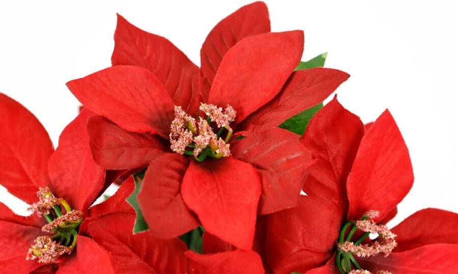 I.GE.A. Kunstbloem Poinsettia in pot set van 2 kunstmatige bloem kerstster kerstdecoratie (2 stuks)