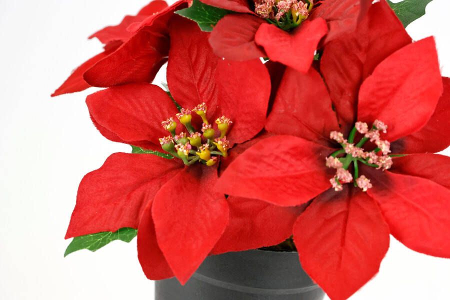 I.GE.A. Kunstbloem Poinsettia in pot set van 2 kunstmatige bloem kerstster kerstdecoratie (2 stuks)