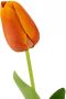 I.GE.A. Kunstbloem Real Touch Tulpen set van 5 kunst-tulpenknoppen kunstbloemen snijbloem (5 stuks) - Thumbnail 3