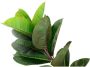 I.GE.A. Kunstboom Rubberboom Met overpot Ficus Elastica - Thumbnail 2