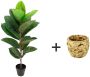 I.GE.A. Kunstboom Rubberboom Met overpot Ficus Elastica - Thumbnail 3