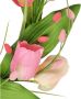 I.GE.A. Kunstkrans Tulpenkrans - Thumbnail 4