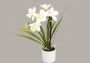 I.GE.A. Kunstorchidee Orchidee in een keramische pot (1 stuk) - Thumbnail 2
