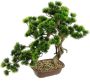 I.GE.A. Kunstplant Bonsai Baum in Schale (1 stuk) - Thumbnail 2