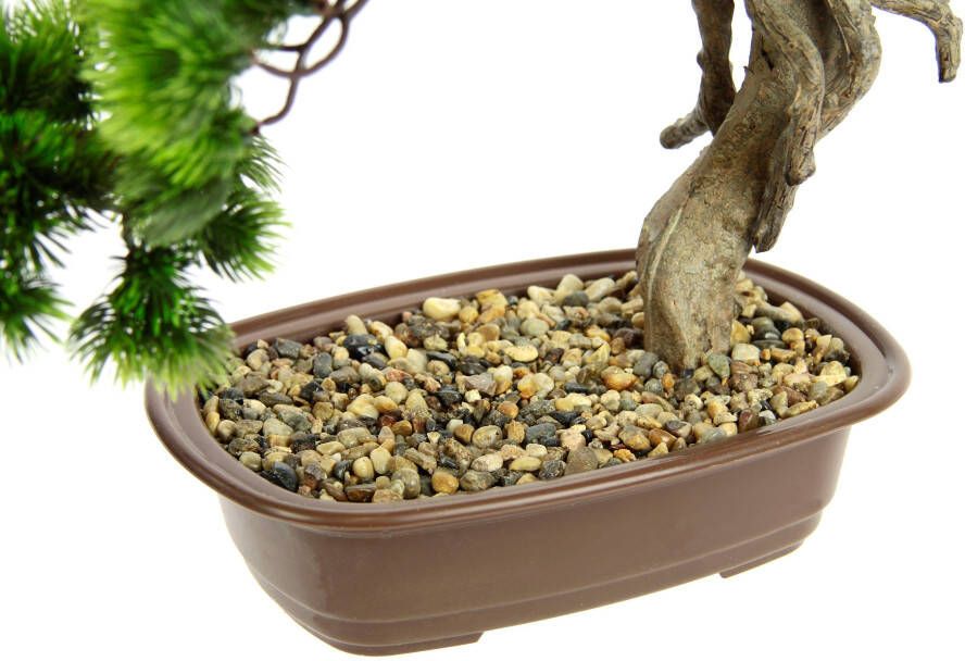 I.GE.A. Kunstplant Bonsai Baum in Schale (1 stuk)