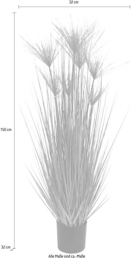 I.GE.A. Kunstplant Cypergras in pot (1 stuk)