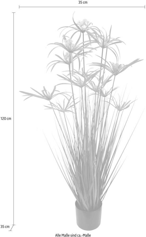 I.GE.A. Kunstplant Cypergras in pot