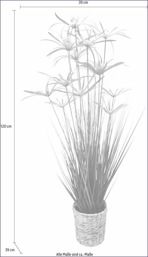 I.GE.A. Kunstplant Cypergras in pot van waterhyacint (1 stuk)