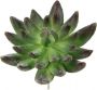 I.GE.A. Kunstplant Decoratieve vetplanten set van 4 kunstplanten vetplanten aloe agave cactus (4 stuks) - Thumbnail 2