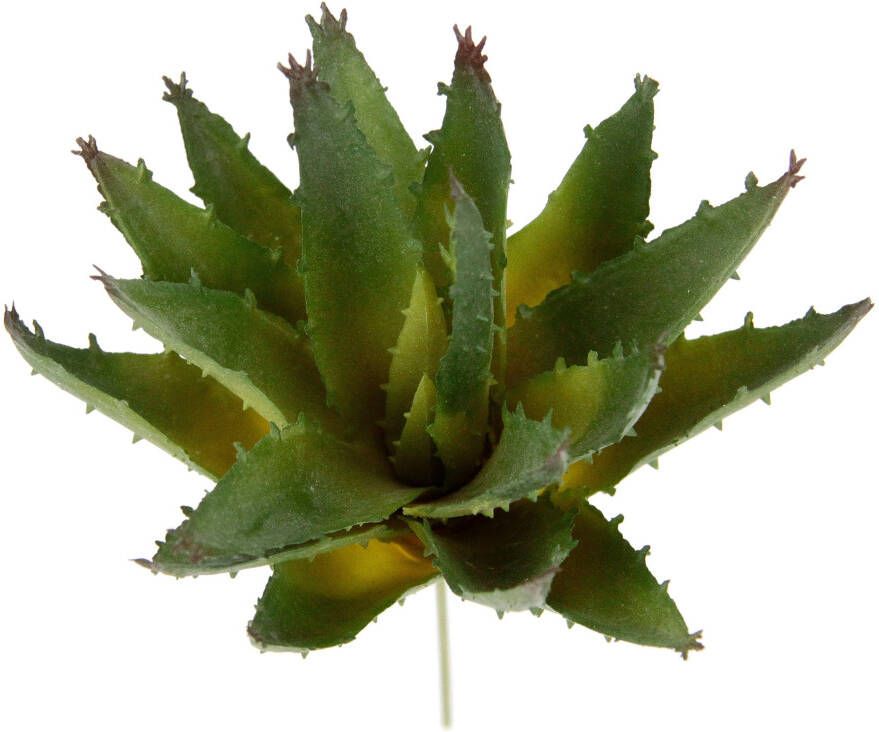 I.GE.A. Kunstplant Decoratieve vetplanten set van 4 kunstplanten vetplanten aloe agave cactus (4 stuks)