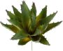 I.GE.A. Kunstplant Decoratieve vetplanten set van 4 kunstplanten vetplanten aloe agave cactus (4 stuks) - Thumbnail 4