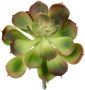 I.GE.A. Kunstplant Decoratieve vetplanten set van 4 kunstplanten vetplanten aloe agave cactus (4 stuks) - Thumbnail 5