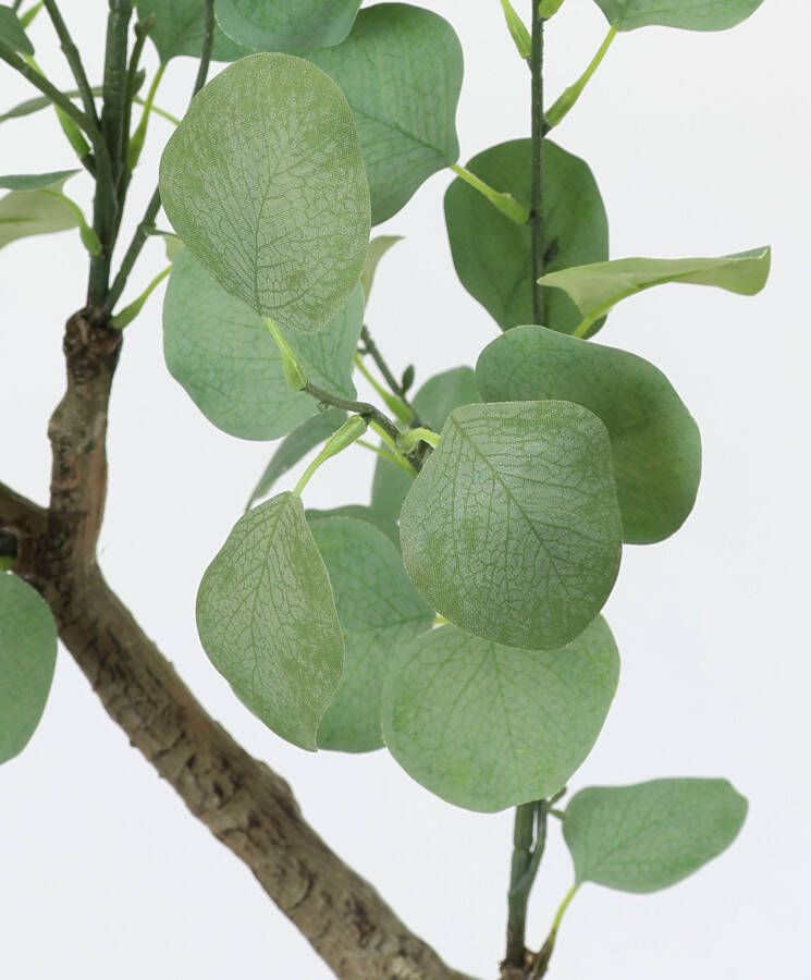 I.GE.A. Kunstplant Kunstbaum Eukalyptus im Topf Pflanze Deko Strauch Busch (1 stuk)