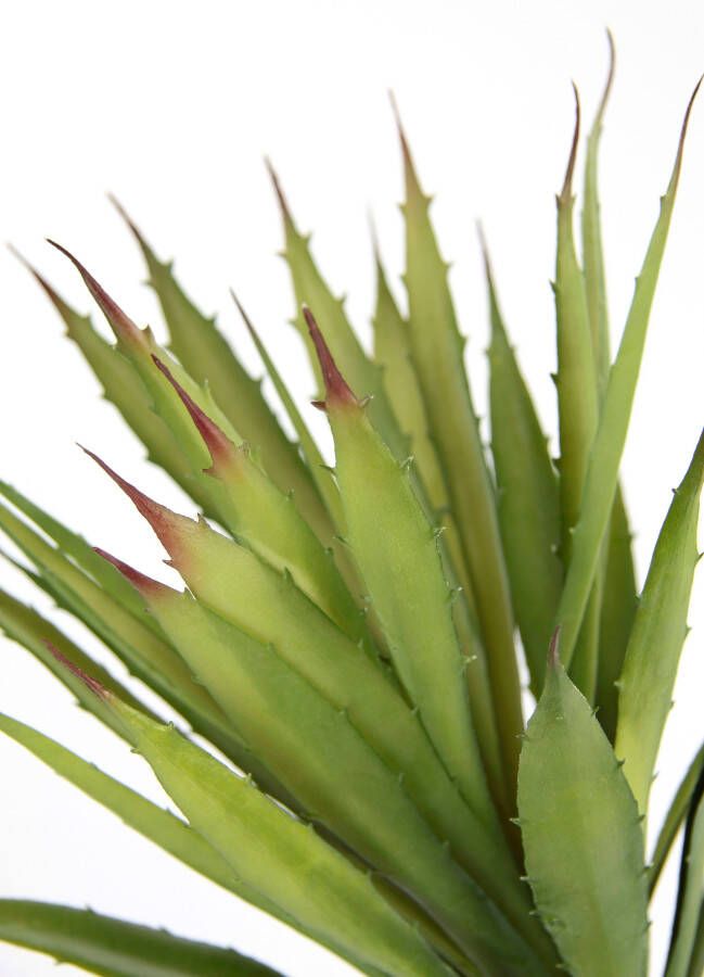 I.GE.A. Kunstplant Künstliche Agave Aloe Vera im Topf Kunstpflanze (1 stuk)