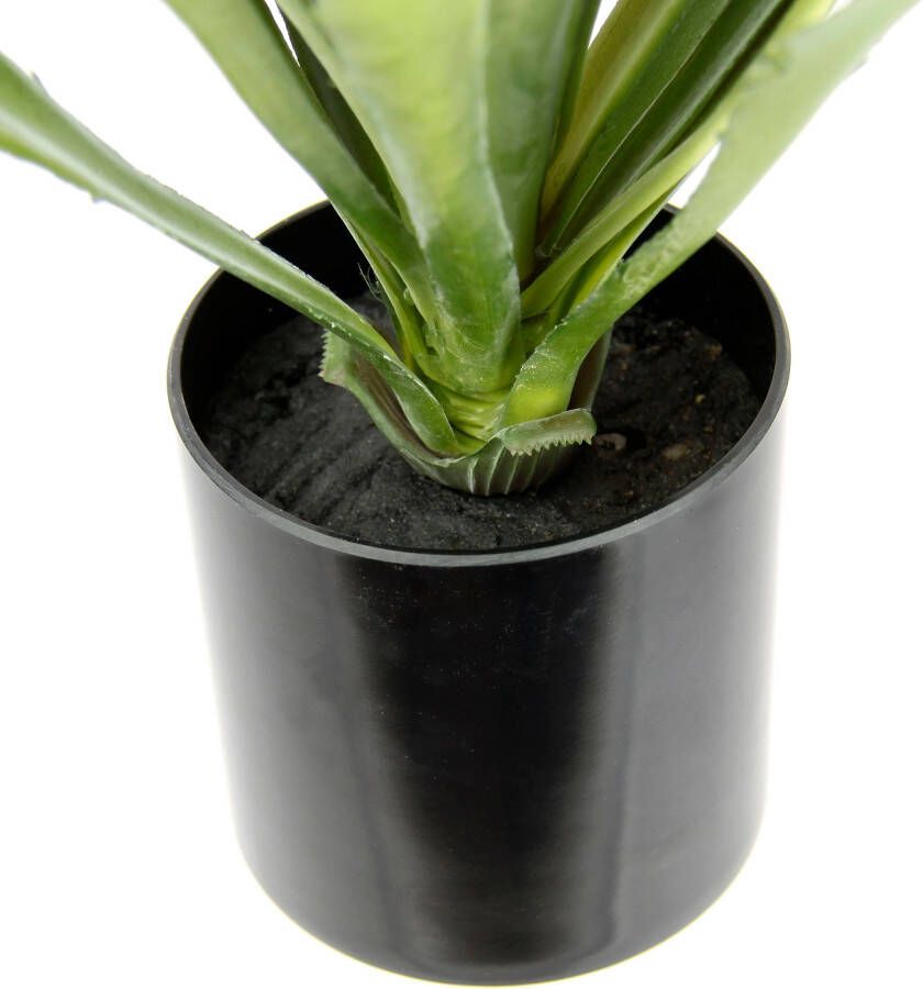 I.GE.A. Kunstplant Künstliche Agave Aloe Vera im Topf Kunstpflanze (1 stuk)