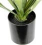 I.GE.A. Kunstplant Künstliche Agave Aloe Vera im Topf Kunstpflanze (1 stuk) - Thumbnail 3