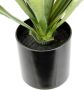 I.GE.A. Kunstplant Kunstmatige agave aloe vera in pot kunstplant (1 stuk) - Thumbnail 3