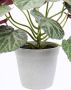 I.GE.A. Kunstplant Künstliche Pflanze Begonie im Topf Begonienbusch Blattpflanze (1 stuk) - Thumbnail 4