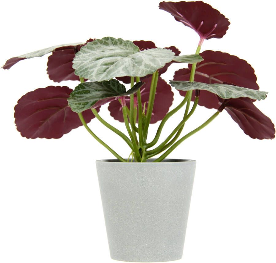 I.GE.A. Kunstplant Künstliche Pflanze Begonie im Topf Begonienbusch Blattpflanze (2 stuks)