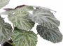 I.GE.A. Kunstplant Künstliche Pflanze Begonie im Topf Begonienbusch Blattpflanze (2 stuks) - Thumbnail 3