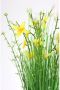 I.GE.A. Kunstplant Künstlicher Grasbund mit Blüten - Thumbnail 3