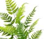 I.GE.A. Kunstplant Künstlicher Waldfarn im Topf Farn Kunstfarn Farnbusch Waldpflanze (1 stuk) - Thumbnail 2