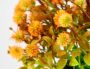 I.GE.A. Kunstplant Margriet in pot (1 stuk) - Thumbnail 2