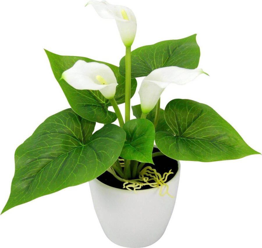 I.GE.A. Kunstplant Mini calla (set 3 stuks)