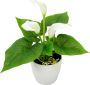 I.GE.A. Kunstplant Mini calla (set 3 stuks) - Thumbnail 2